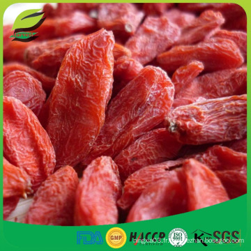 Goji tibétain wolfberry chinois pour les ventes en gros